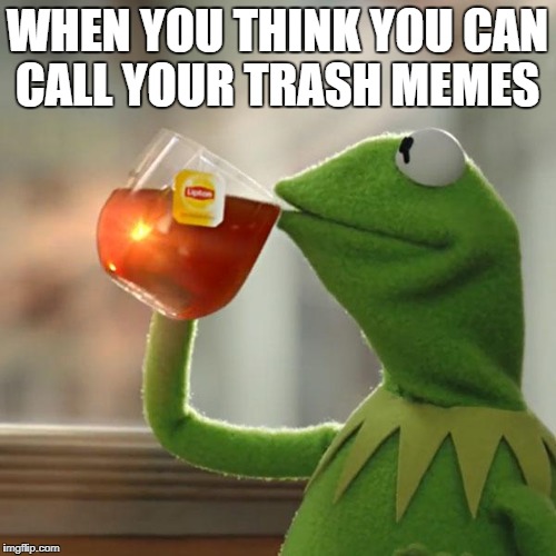 But That's None Of My Business Meme | WHEN YOU THINK YOU CAN CALL YOUR TRASH MEMES | image tagged in memes,but thats none of my business,kermit the frog | made w/ Imgflip meme maker