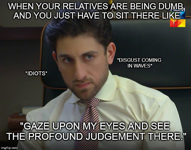 WHEN YOUR RELATIVES ARE BEING DUMB AND YOU JUST HAVE TO SIT THERE LIKE; *DISGUST COMING IN WAVES*; *IDIOTS*; "GAZE UPON MY EYES AND SEE THE PROFOUND JUDGEMENT THERE." | made w/ Imgflip meme maker