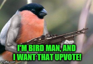 I'M BIRD MAN, AND I WANT THAT UPVOTE! | made w/ Imgflip meme maker