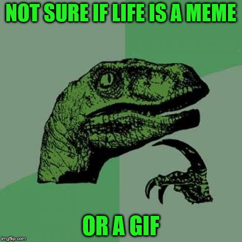 Philosoraptor Meme | NOT SURE IF LIFE IS A MEME OR A GIF | image tagged in memes,philosoraptor | made w/ Imgflip meme maker