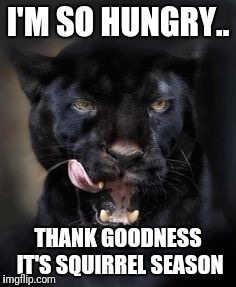 Hungry Panther | I'M SO HUNGRY.. THANK GOODNESS IT'S SQUIRREL SEASON | image tagged in hungry panther | made w/ Imgflip meme maker
