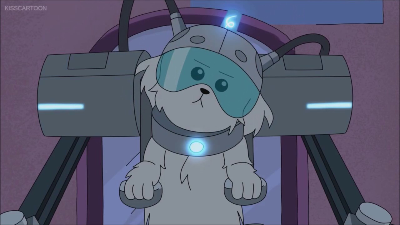Where Are my Testicles? Blank Meme Template