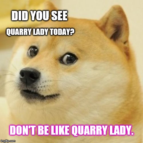 Doge Meme | DID YOU SEE; QUARRY LADY TODAY? DON'T BE LIKE QUARRY LADY. | image tagged in memes,doge | made w/ Imgflip meme maker