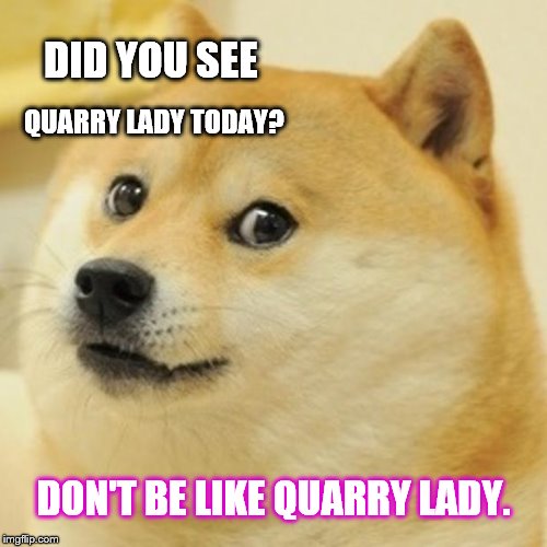 Doge | DID YOU SEE; QUARRY LADY TODAY? DON'T BE LIKE QUARRY LADY. | image tagged in memes,doge | made w/ Imgflip meme maker