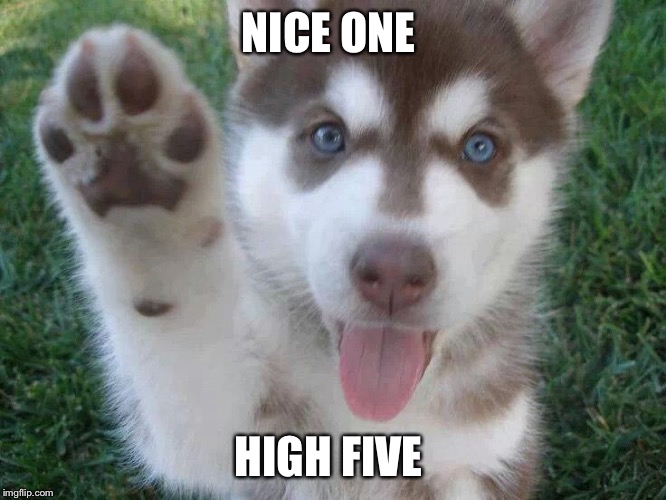 High Five | NICE ONE; HIGH FIVE | image tagged in high five | made w/ Imgflip meme maker
