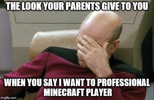 Captain Picard Facepalm Meme | THE LOOK YOUR PARENTS GIVE TO YOU; WHEN YOU SAY I WANT TO PROFESSIONAL MINECRAFT PLAYER | image tagged in memes,captain picard facepalm | made w/ Imgflip meme maker