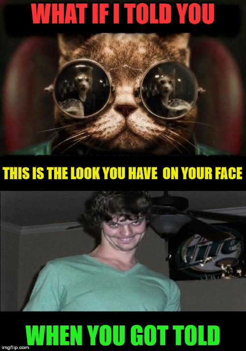 WHAT IF I TOLD YOU; THIS IS THE LOOK YOU HAVE  ON YOUR FACE; WHEN YOU GOT TOLD | image tagged in matrixing | made w/ Imgflip meme maker