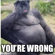 YOU’RE WRONG | made w/ Imgflip meme maker