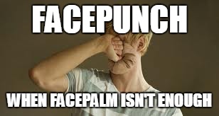 FACEPUNCH; WHEN FACEPALM ISN'T ENOUGH | image tagged in memes,facepalm | made w/ Imgflip meme maker