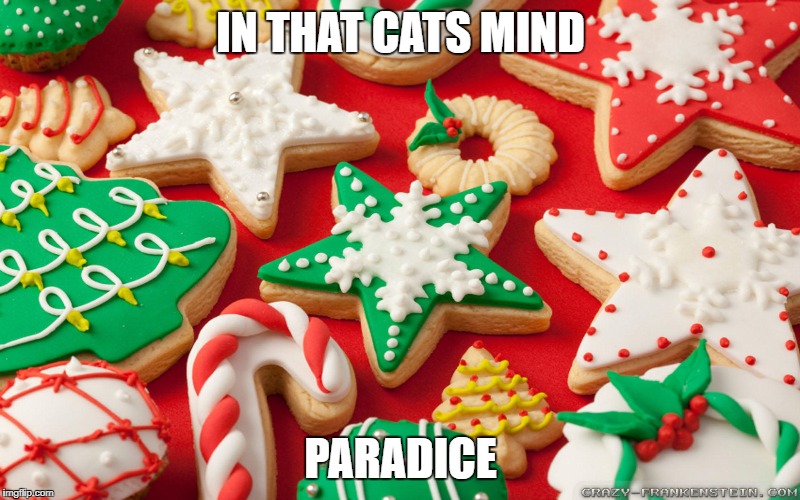 IN THAT CATS MIND PARADICE | made w/ Imgflip meme maker