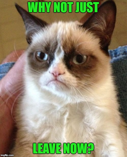 Grumpy Cat Meme | WHY NOT JUST LEAVE NOW? | image tagged in memes,grumpy cat | made w/ Imgflip meme maker