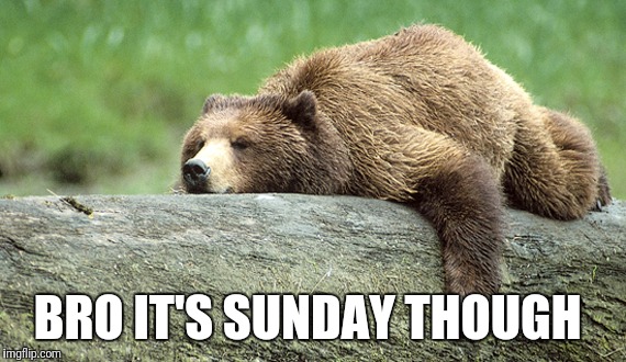 Grizzly Gainzzz | BRO IT'S SUNDAY THOUGH | image tagged in grizzly,gym,funny | made w/ Imgflip meme maker