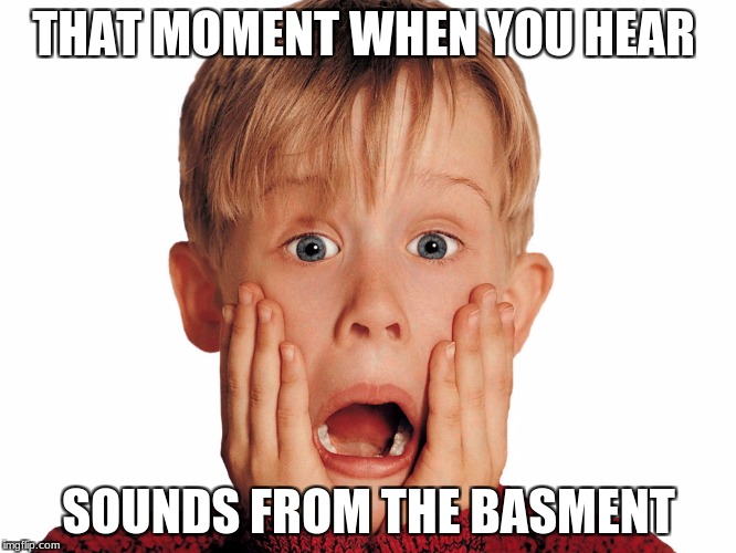 THAT MOMENT WHEN YOU HEAR; SOUNDS FROM THE BASMENT | image tagged in home alone | made w/ Imgflip meme maker