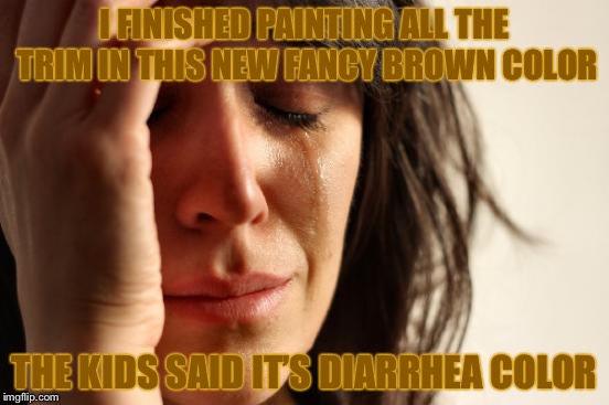 First World Problems Meme | I FINISHED PAINTING ALL THE TRIM IN THIS NEW FANCY BROWN COLOR; THE KIDS SAID IT’S DIARRHEA COLOR | image tagged in memes,first world problems | made w/ Imgflip meme maker