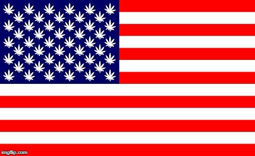 Marijuana leaf American flag | image tagged in marijuana leaf american flag | made w/ Imgflip meme maker