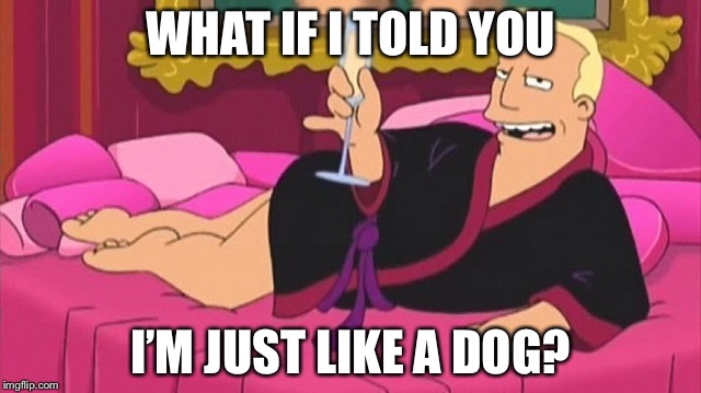WHAT IF I TOLD YOU I’M JUST LIKE A DOG? | made w/ Imgflip meme maker