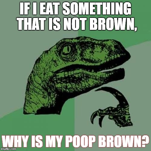 Poopblem | IF I EAT SOMETHING THAT IS NOT BROWN, WHY IS MY POOP BROWN? | image tagged in memes,philosoraptor,poop | made w/ Imgflip meme maker