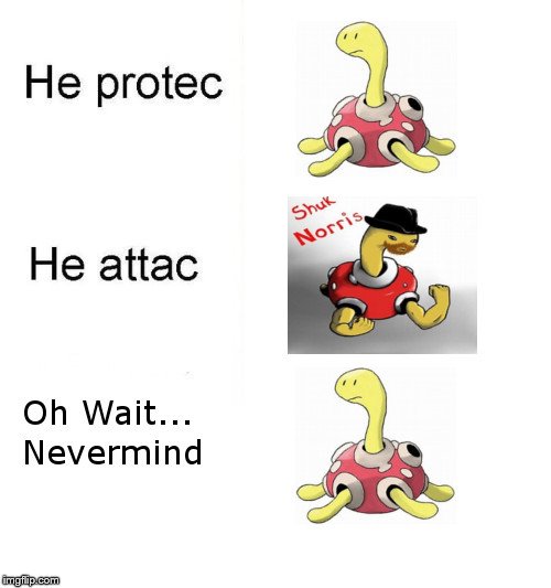 Shuckle Protec | image tagged in pokemon,he protec | made w/ Imgflip meme maker