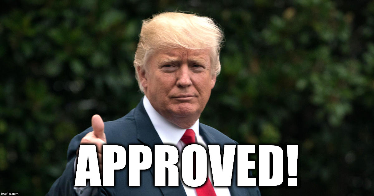 Trump Approves! | APPROVED! | image tagged in donald trump,donald trump approves,memes,funny | made w/ Imgflip meme maker