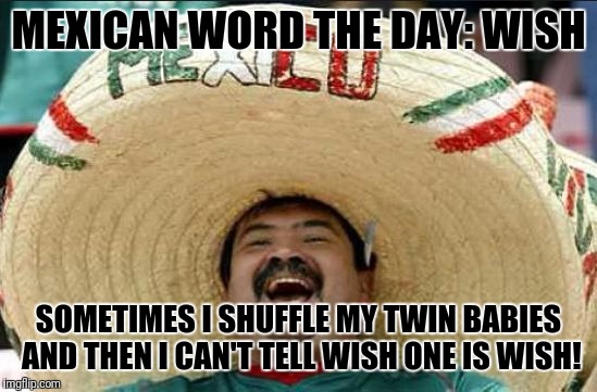 mexican word of the day | MEXICAN WORD THE DAY: WISH; SOMETIMES I SHUFFLE MY TWIN BABIES AND THEN I CAN'T TELL WISH ONE IS WISH! | image tagged in mexican word of the day | made w/ Imgflip meme maker