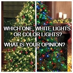 White or Color Lights? | WHICH ONE, WHITE LIGHTS OR COLOR LIGHTS? WHAT IS YOUR OPINION? | image tagged in christmas | made w/ Imgflip meme maker