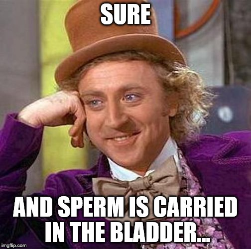 Creepy Condescending Wonka Meme | SURE AND SPERM IS CARRIED IN THE BLADDER... | image tagged in memes,creepy condescending wonka | made w/ Imgflip meme maker