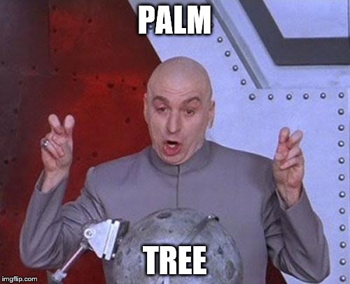 Dr Evil Laser Meme | PALM TREE | image tagged in memes,dr evil laser | made w/ Imgflip meme maker