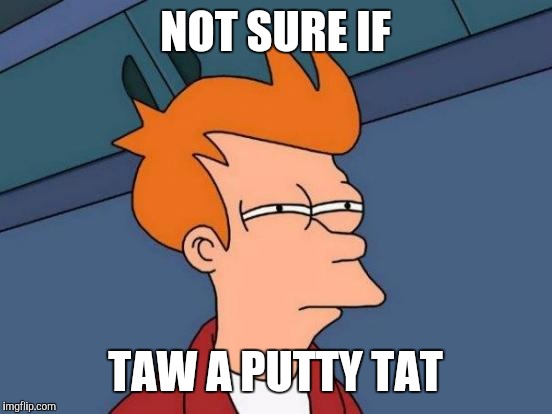 Futurama Fry Meme | NOT SURE IF TAW A PUTTY TAT | image tagged in memes,futurama fry | made w/ Imgflip meme maker