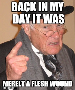Back In My Day Meme | BACK IN MY DAY IT WAS MERELY A FLESH WOUND | image tagged in memes,back in my day | made w/ Imgflip meme maker