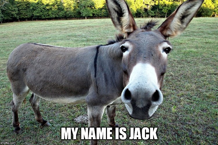 MY NAME IS JACK | image tagged in funny | made w/ Imgflip meme maker
