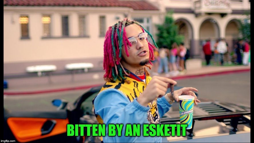 BITTEN BY AN ESKETIT | image tagged in lil pamp | made w/ Imgflip meme maker