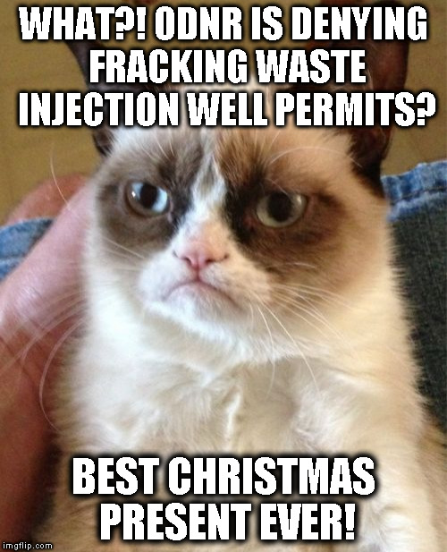 Grumpy Cat Meme | WHAT?! ODNR IS DENYING FRACKING WASTE INJECTION WELL PERMITS? BEST CHRISTMAS PRESENT EVER! | image tagged in memes,grumpy cat | made w/ Imgflip meme maker
