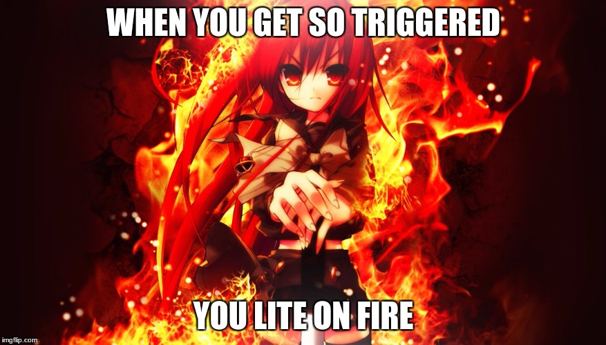 so triggered | WHEN YOU GET SO TRIGGERED; YOU LITE ON FIRE | image tagged in triggered | made w/ Imgflip meme maker