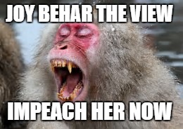 Up close and personal with Joy Behar of the view | JOY BEHAR THE VIEW; IMPEACH HER NOW | image tagged in the view | made w/ Imgflip meme maker