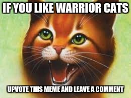 Warrior cats Firestar | IF YOU LIKE WARRIOR CATS; UPVOTE THIS MEME AND LEAVE A COMMENT | image tagged in warriors,warrior,warrior cats,warrior cats meme,cats | made w/ Imgflip meme maker