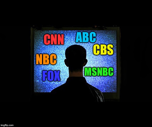 Brainwashed Sheeple | ABC; NBC; CBS; CNN; MSNBC; FOX | image tagged in brainwashed sheeple | made w/ Imgflip meme maker