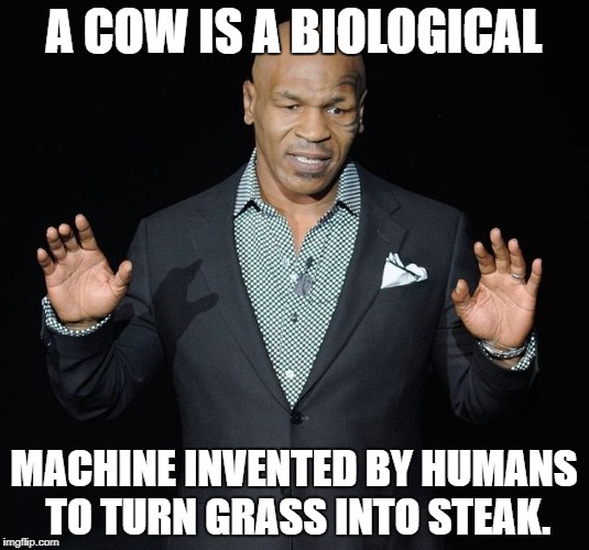 MikeTyson-Educator | A COW IS A BIOLOGICAL; MACHINE INVENTED BY HUMANS TO TURN GRASS INTO STEAK. | image tagged in miketyson-educator | made w/ Imgflip meme maker