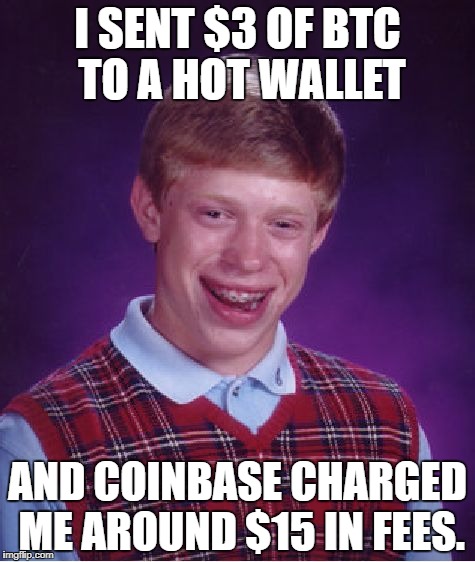 Bad Luck Brian Meme | I SENT $3 OF BTC TO A HOT WALLET; AND COINBASE CHARGED ME AROUND $15 IN FEES. | image tagged in memes,bad luck brian | made w/ Imgflip meme maker