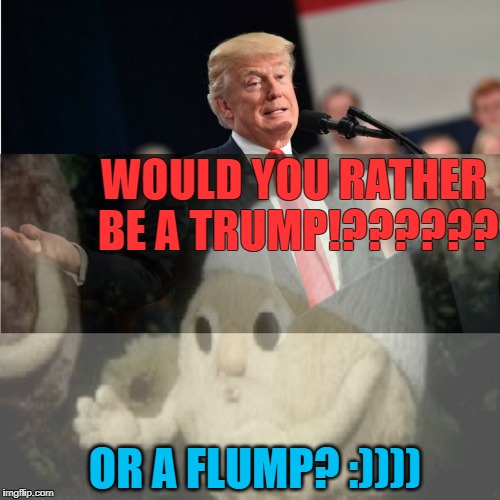 trump or flump? | WOULD YOU RATHER          BE A TRUMP!?????? OR A FLUMP? :)))) | image tagged in donald trump,president trump,not my president,donald trump the clown,trump,trump 2016 | made w/ Imgflip meme maker