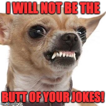 I WILL NOT BE THE BUTT OF YOUR JOKES! | made w/ Imgflip meme maker