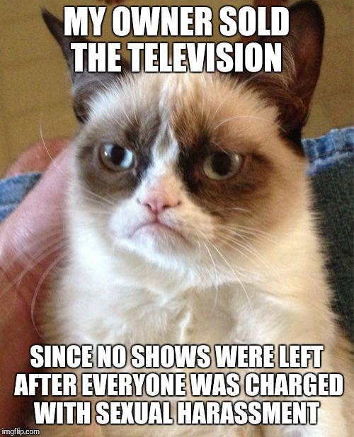 Grumpy Cat Meme | MY OWNER SOLD THE TELEVISION; SINCE NO SHOWS WERE LEFT AFTER EVERYONE WAS CHARGED WITH SEXUAL HARASSMENT | image tagged in memes,grumpy cat | made w/ Imgflip meme maker
