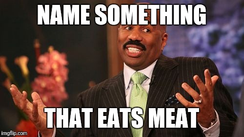 Steve Harvey Meme | NAME SOMETHING; THAT EATS MEAT | image tagged in memes,steve harvey | made w/ Imgflip meme maker