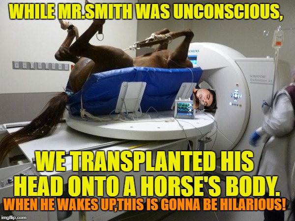 E.R. Prank | WHILE MR.SMITH WAS UNCONSCIOUS, WE TRANSPLANTED HIS HEAD ONTO A HORSE'S BODY. WHEN HE WAKES UP,THIS IS GONNA BE HILARIOUS! | image tagged in funny memes,horse,hospital | made w/ Imgflip meme maker