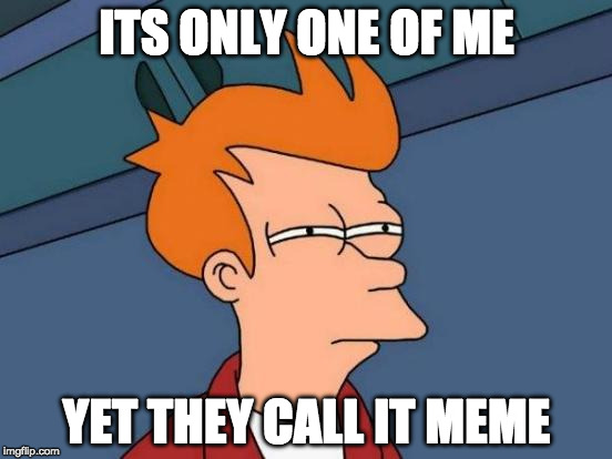 Futurama Fry Meme | ITS ONLY ONE OF ME; YET THEY CALL IT MEME | image tagged in memes,futurama fry,philosoraptor | made w/ Imgflip meme maker