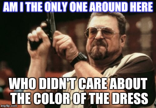 Am I The Only One Around Here | AM I THE ONLY ONE AROUND HERE; WHO DIDN'T CARE ABOUT THE COLOR OF THE DRESS | image tagged in memes,am i the only one around here | made w/ Imgflip meme maker
