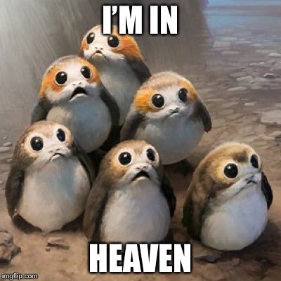 I’M IN; HEAVEN | image tagged in cute | made w/ Imgflip meme maker