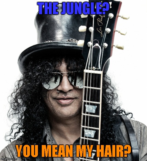 THE JUNGLE? YOU MEAN MY HAIR? | made w/ Imgflip meme maker