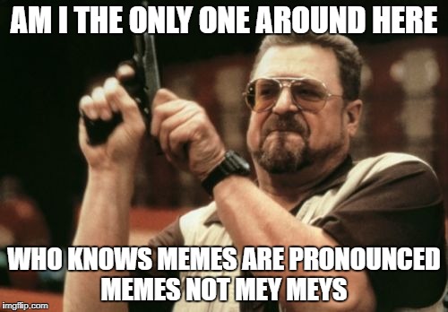 Am I The Only One Around Here Meme | AM I THE ONLY ONE AROUND HERE; WHO KNOWS MEMES ARE PRONOUNCED MEMES NOT MEY MEYS | image tagged in memes,am i the only one around here | made w/ Imgflip meme maker