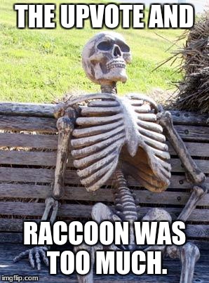 THE UPVOTE AND RACCOON WAS TOO MUCH. | image tagged in memes,waiting skeleton | made w/ Imgflip meme maker