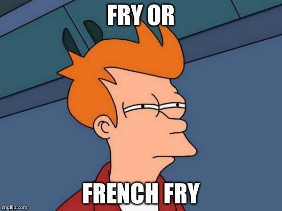 Futurama Fry Meme | FRY OR; FRENCH FRY | image tagged in memes,futurama fry | made w/ Imgflip meme maker